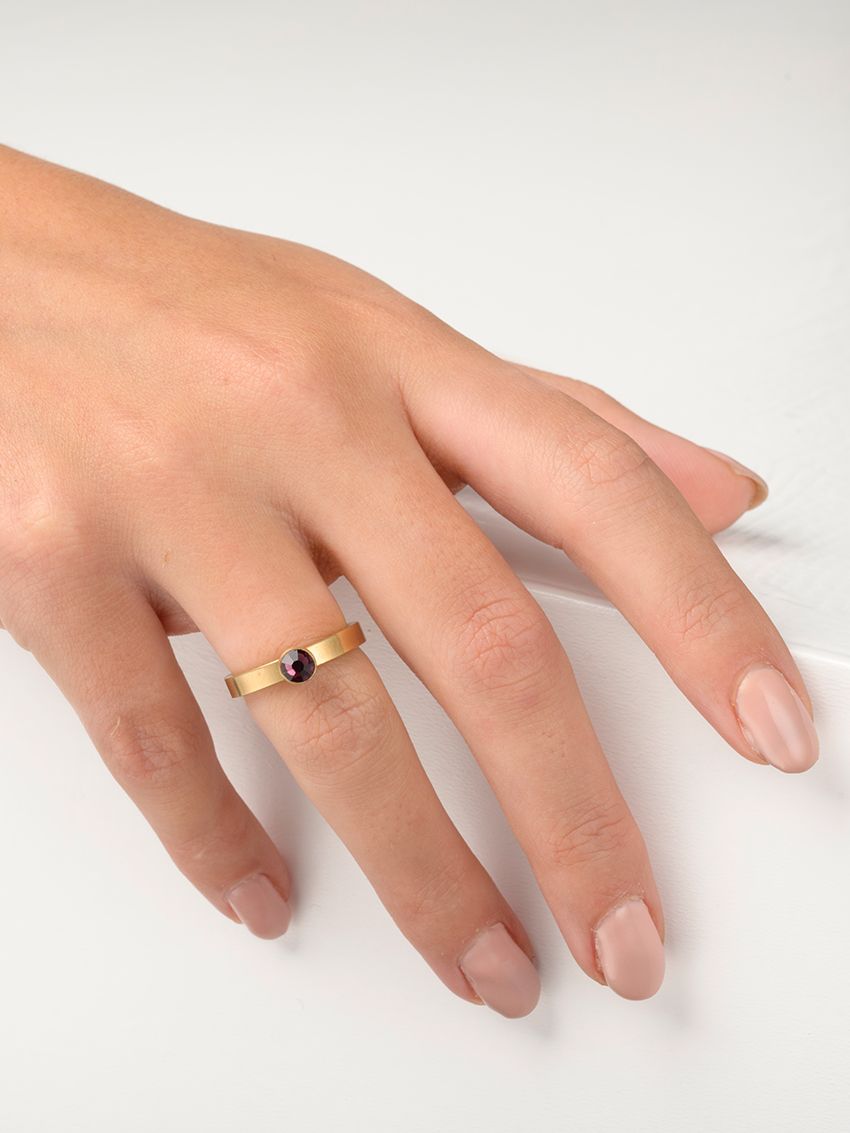 Februari amethist verguld