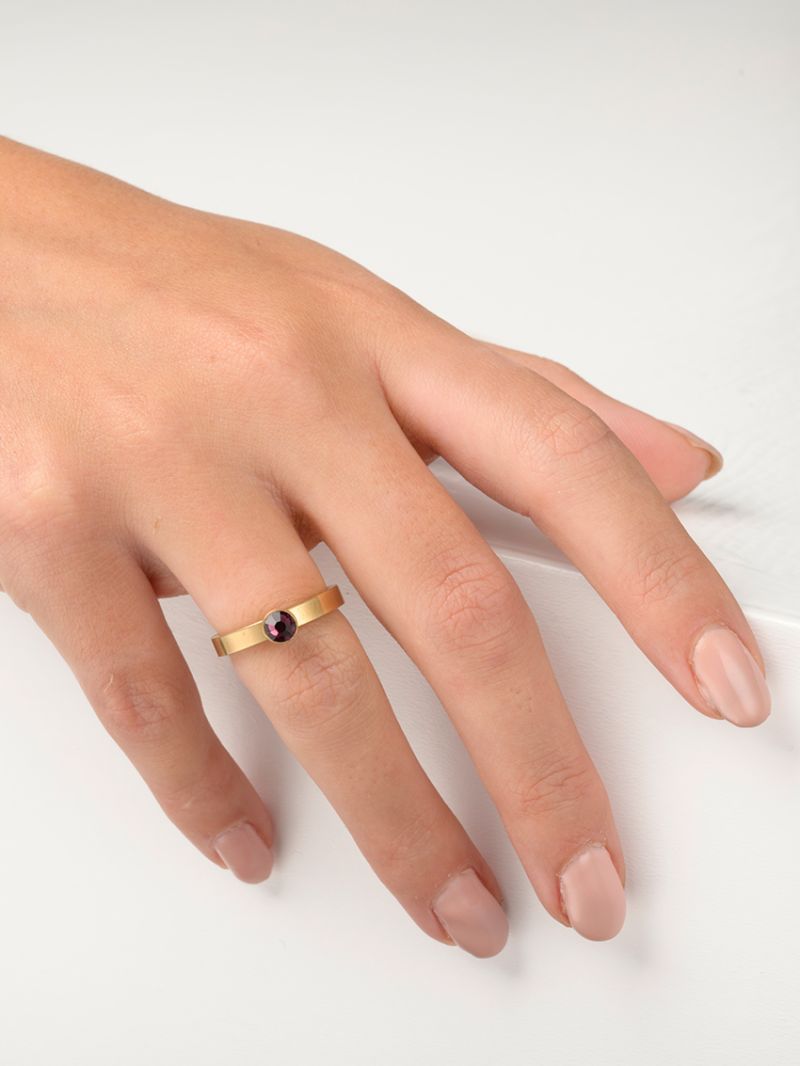 Februari amethist verguld